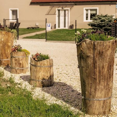 Apartament Pod Lasem Oldrzychowice Klodzkie Exterior foto